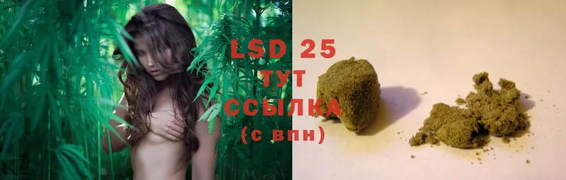 купить   Зеленоградск  LSD-25 экстази ecstasy 