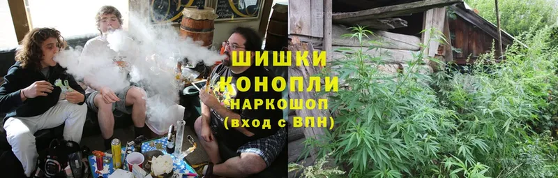 Конопля White Widow  наркотики  Зеленоградск 